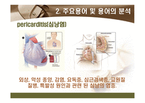 [해부학 A+] 심혈 관계(Cardiovascular System) 용어 정의 및 분석-19
