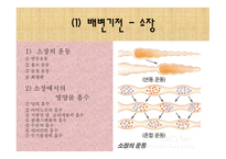 [간호학 A+] 배변장애의 종류 및 치료(간화과정 실습)-4
