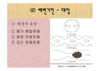 [간호학 A+] 배변장애의 종류 및 치료(간화과정 실습)-5