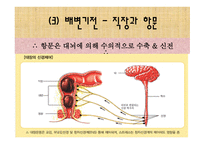 [간호학 A+] 배변장애의 종류 및 치료(간화과정 실습)-7