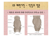 [간호학 A+] 배변장애의 종류 및 치료(간화과정 실습)-8