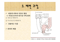 [간호학 A+] 배변장애의 종류 및 치료(간화과정 실습)-9