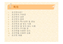 [식품영양] 초콜릿의 성분 및 효능에 대한 분석-2
