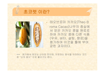 [식품영양] 초콜릿의 성분 및 효능에 대한 분석-3