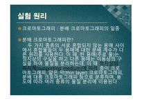 [실험생화학] 2차원 종이 크로마트그래피 원리 및 실험 방법-4