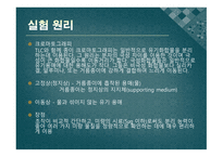 [실험생화학] 2차원 종이 크로마트그래피 원리 및 실험 방법-5