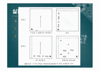 [실험생화학] 2차원 종이 크로마트그래피 원리 및 실험 방법-6