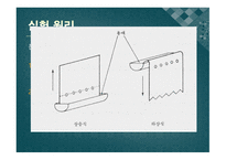 [실험생화학] 2차원 종이 크로마트그래피 원리 및 실험 방법-7