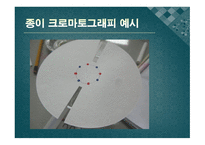 [실험생화학] 2차원 종이 크로마트그래피 원리 및 실험 방법-10