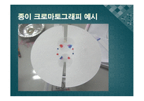 [실험생화학] 2차원 종이 크로마트그래피 원리 및 실험 방법-11