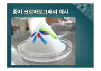 [실험생화학] 2차원 종이 크로마트그래피 원리 및 실험 방법-13