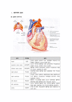 [해부학 A+] 심혈 관계(Cardiovascular System) 용어 정의 및 분석-2