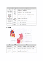 [해부학 A+] 심혈 관계(Cardiovascular System) 용어 정의 및 분석-4