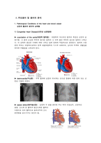 [해부학 A+] 심혈 관계(Cardiovascular System) 용어 정의 및 분석-7