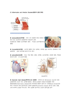 [해부학 A+] 심혈 관계(Cardiovascular System) 용어 정의 및 분석-8