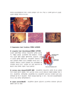 [해부학 A+] 심혈 관계(Cardiovascular System) 용어 정의 및 분석-9