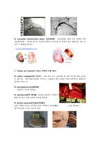 [해부학 A+] 심혈 관계(Cardiovascular System) 용어 정의 및 분석-10