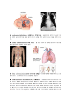 [해부학 A+] 심혈 관계(Cardiovascular System) 용어 정의 및 분석-11