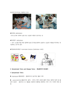 [해부학 A+] 심혈 관계(Cardiovascular System) 용어 정의 및 분석-12