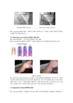 [해부학 A+] 심혈 관계(Cardiovascular System) 용어 정의 및 분석-13