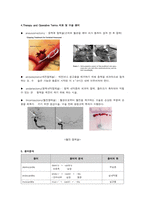 [해부학 A+] 심혈 관계(Cardiovascular System) 용어 정의 및 분석-15