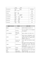 [해부학 A+] 심혈 관계(Cardiovascular System) 용어 정의 및 분석-17