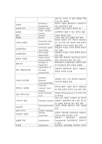 [해부학 A+] 심혈 관계(Cardiovascular System) 용어 정의 및 분석-18