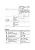 [해부학 A+] 심혈 관계(Cardiovascular System) 용어 정의 및 분석-20