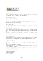 [KCU 문화 속 디자인 여행] 6주차 요약 및 정리-6