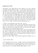 Galinsky의 부모기의 6단계-3