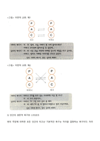 에릭번의 상호교류 부모교육의 내용을 정리하여 논하시오-9