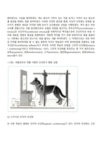 [행동주의이론] 파블로프의 고전적 조건화, 스키너의 조작적 조건화, 반두라의 사회학습이론-3