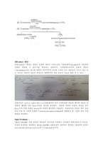 [환경] 화학 레포트 Alkalinity (2)-4