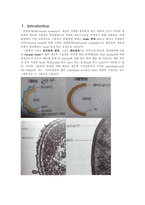 [환경] 화학 레포트 Gram staining-2