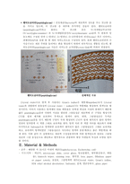 [환경] 화학 레포트 Gram staining-3