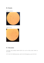 [환경] 화학 레포트 Gram staining-5