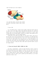 심리학에게묻다1공통) 심리학에게 묻다 강의교재9장 Grace-Joy-Peace의 메커니즘 설명하고 이러한 개념이 나에게 주는함의 쓰시오0k-4