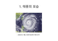 14 태풍(Typhoon)-4