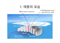 14 태풍(Typhoon)-5
