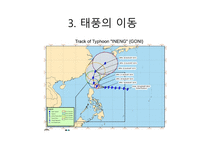 14 태풍(Typhoon)-12