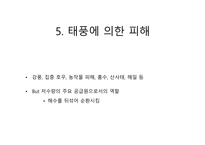 14 태풍(Typhoon)-15