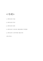 페미니즘 역사,종류와 페미니즘이 나아가야할 방향 제시-2