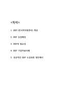 ERP 기업적용사례와 성공적인 ERP 도입위한 방안제시-2