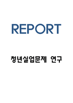 청년실업 국내 정책사례와 문제점분석 및 청년실업 해결방안 제시-1