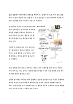 시사이슈 분석 퐁퐁단 설거지론 이슈로 본 최근 젠더 갈등 및 혐오 문화에 대한 고찰-3