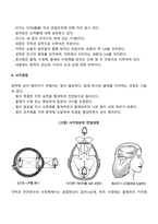 눈의 구조와 시각과정-2