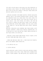 페미니즘 사례연구과 이론분석 및 페미니즘의 바람직한 방향제시-4