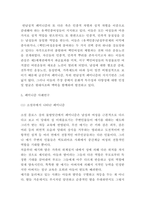 페미니즘 사례연구과 이론분석 및 페미니즘의 바람직한 방향제시-8