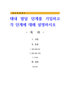 태내 발달 단계를 기입하고 각 단계에 대해 설명-1