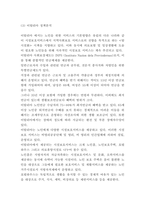 노인복지 실태분석과 전달체계분석 및 노인복지 국내,해외사례분석과 바람직한 방향제시-11